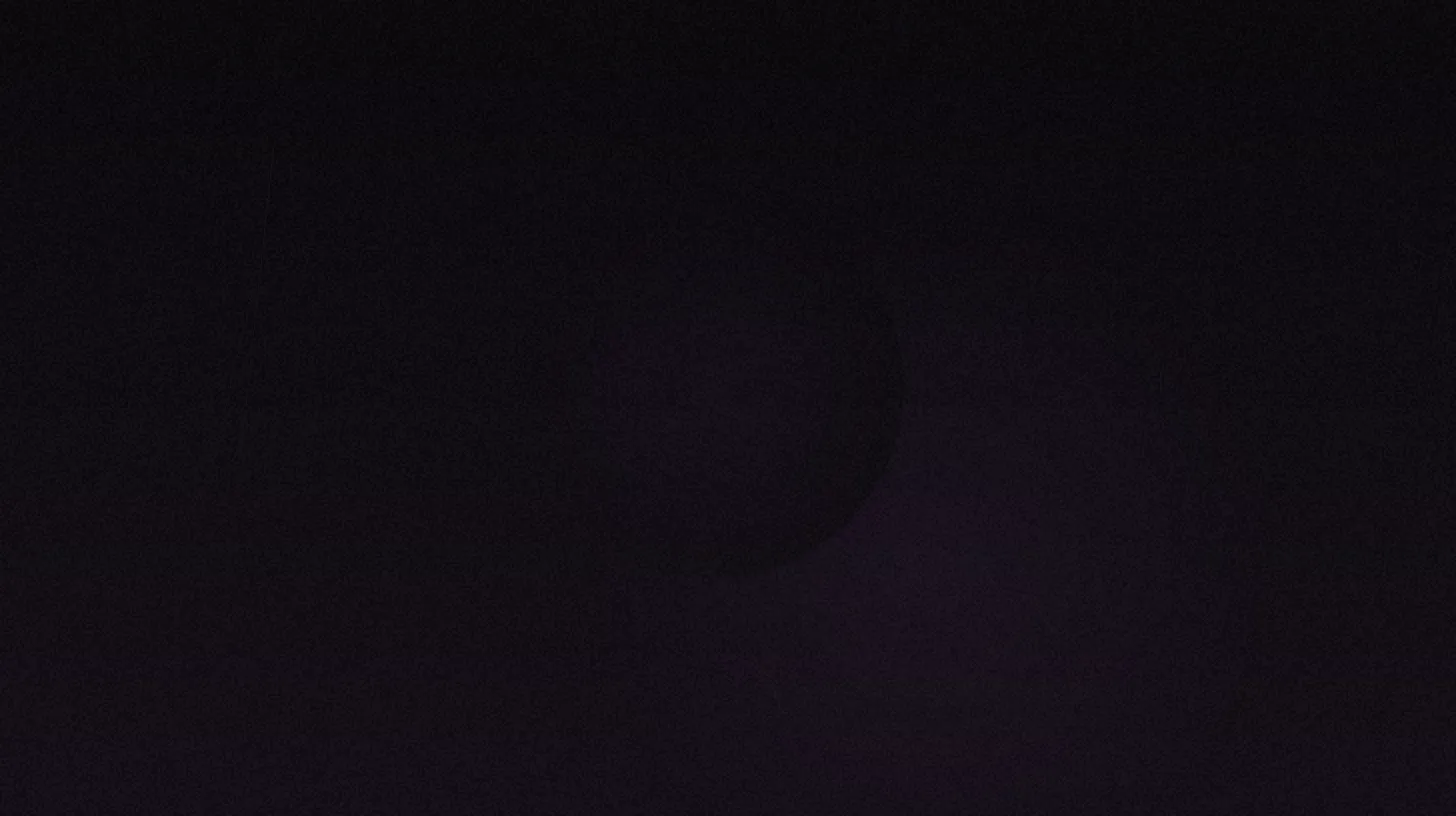 How to Build an Audience You Own: Email Lists, Websites, and Life Beyond OnlyFans