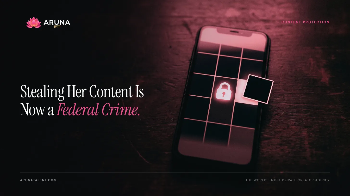 Leaking a Creator's Content Is Now a Federal Crime. Here's How Creators Fight Back.