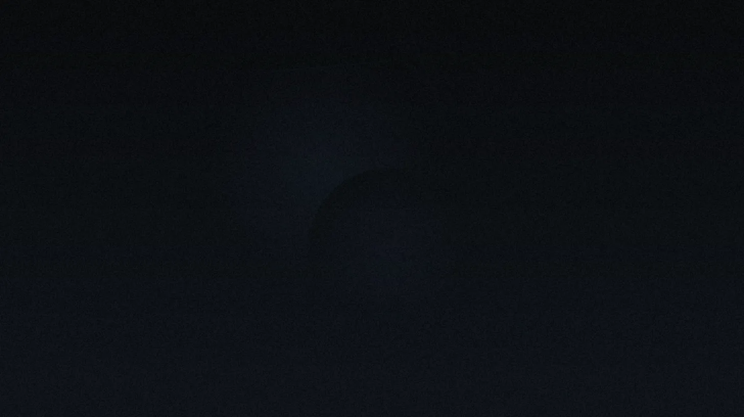 The Real Cost of Managing OnlyFans Yourself vs. Hiring an Agency