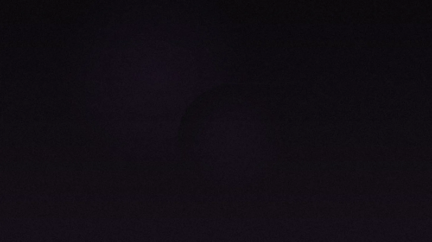 Seasonal Content Strategy for OnlyFans: Maximize Earnings Year-Round